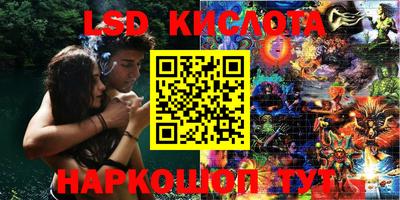 соль ск Новодвинск
