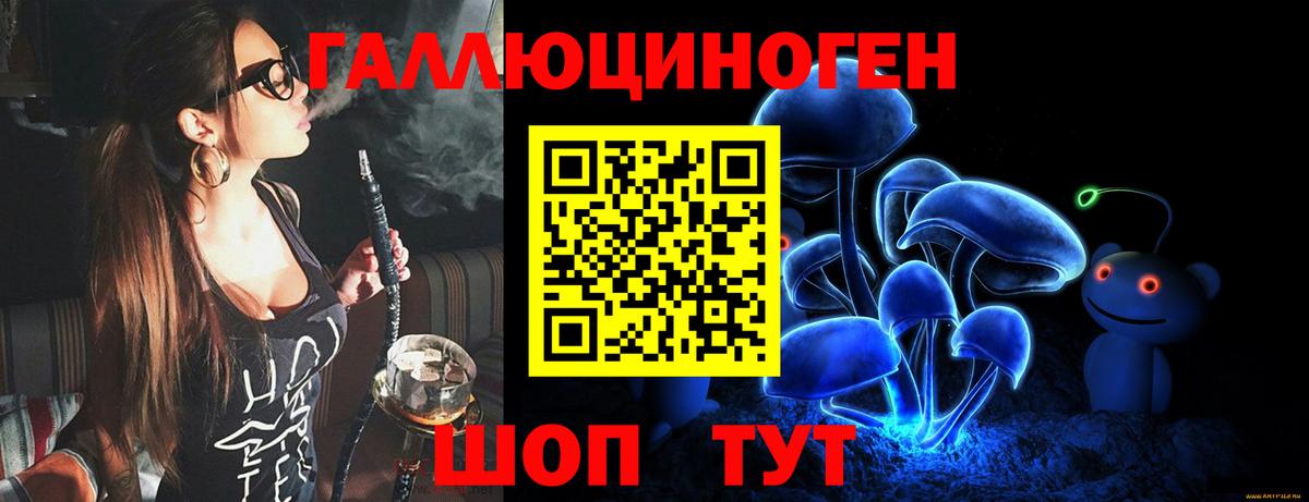 Псилоцибиновые грибы Cubensis  Галлюциногенные грибы GOLDEN TEACHER  Советская Гавань  Вход с VPN 